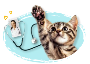 Gatito levanta la pata frente a una videollamada veterinaria en celular con estetoscopio sobre fondo azul turquesa brillante.